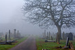 Spooky old cemetery on a foggy day