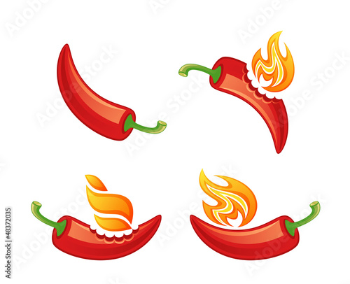 Vector: Red hot pepper Red hot pepper