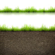 grass
