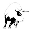 black bull