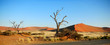 Panorama Namib Desert