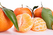isolated clementine and leaf on white