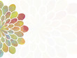 Vector: Colorful floral background Colorful floral background