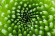 Green flower