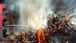Real fire, close-up. Flames, smoke and ember