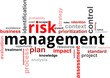 word cloud - risk management