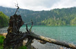 Black Lake