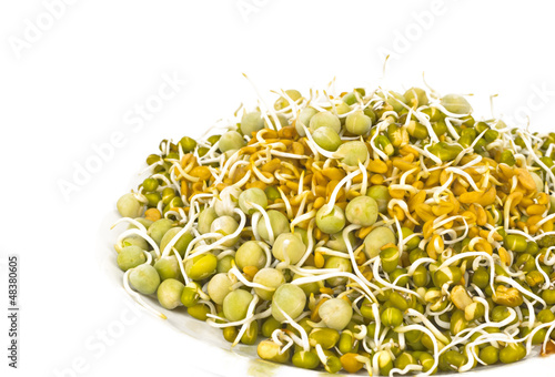 Photo: Sprouted Seeds Sprouted Seeds