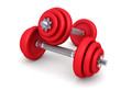 Two dumbbells