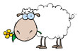 White Sheep Carrying A Flower In Its Mouth