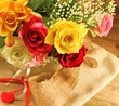 bunte Rosen