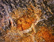 texture stone plate