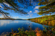 Forest Lake in autumn
