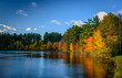 Forest Lake in autumn