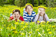 Photo: Dandelion summer Dandelion summer