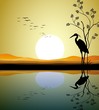 heron silhouette on lake