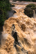 Flooded Barron River