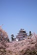 Aizuwakamatsu Castle and cherry blossom,Fukushima, Japan