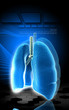 human lungs