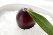 olio olive
