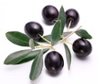 Ripe black olives with leaves.