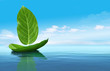 Photo: Boat from leaves Boat from leaves