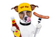 fast food hungry dog