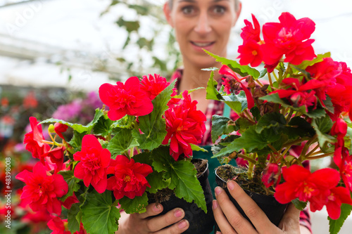 Photo: gardener in her green house flower shop gardener in her green house flower shop