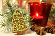Christmas tree cookie