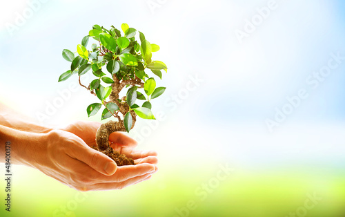 Photo: Human Hands Holding Green Plant Over Nature Background Human Hands Holding Green Plant Over Nature Background