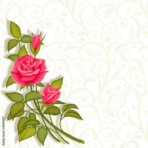 Illustration: Illustration rose on background with ornaments Illustration rose on background with ornaments