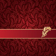 Vector Illustration of Feathers