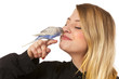 Photo: Friendly Parakeet Friendly Parakeet