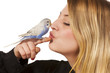 Photo: Friendly Parakeet Friendly Parakeet