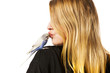 Photo: Friendly Parakeet Friendly Parakeet