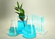 test-tubes and leaves tested in petri dishes on grey background