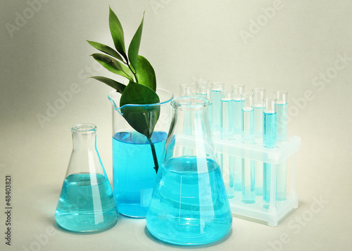 Photo: test-tubes and leaves tested in petri dishes on grey background test-tubes and leaves tested in petri dishes on grey background