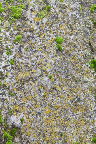 Photo: Stone texture Stone texture
