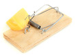 Mousetrap with cheese isolated on white