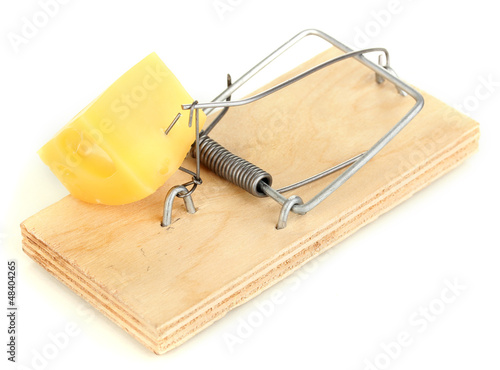 Photo: Mousetrap with cheese isolated on white Mousetrap with cheese isolated on white
