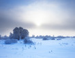 Photo: Winter landscape. Cold winter evening Winter landscape. Cold winter evening