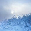 Photo: Winter landscape. Cold winter evening Winter landscape. Cold winter evening
