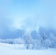 Winter landscape. Cold winter evening