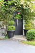 Rose garden gate