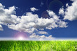 perfect landscape representing the concept of ecology