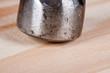 Foto: Close-up of hammer head Close-up of hammer head