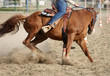 Horse and rider detail during a Pole Bending training