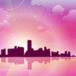 Miami Skyline