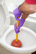 Unclogging The Toilet