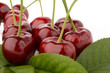 Cherry on white background